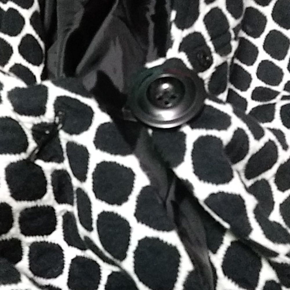 Coat - Picture 3 of 4